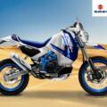 Suzuki DL650 2021 wg. Oberbana Bezziego